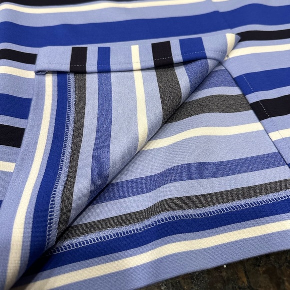 Ann Taylor NWOT Blue & Cream Stripes Knit Skirt - Picture 4 of 12